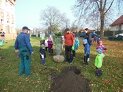 Výsadba u MŠ 2015 - sponzorováno firmou PAJR s.r.o.Vlkava